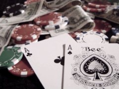2008 blackjack roush